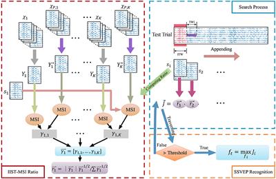 Inter- and Intra-subject Template-Based Multivariate Synchronization Index Using an Adaptive Threshold for SSVEP-Based BCIs